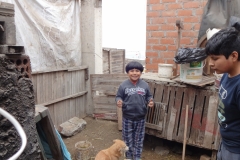 Anguar's borrowed house, outside with the animals.